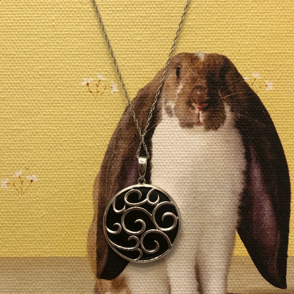 Sterling Silver 18in Chain w/ Onyx Medallion